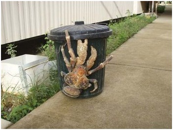 cangrejo gigante 2