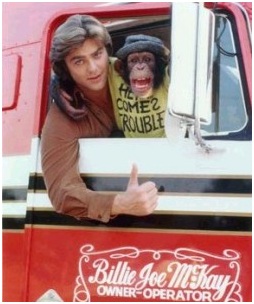 chimpance