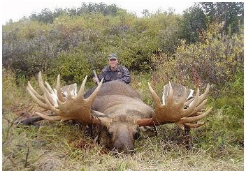 reno gigante