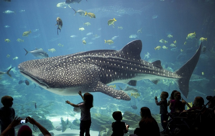 Acuario de Génova